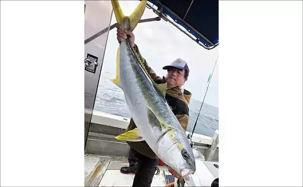 「「ドリームサイズがキタッ！」28kgヒラマサ堂々浮上【沖のルアー釣果速報4選・福岡】」の画像