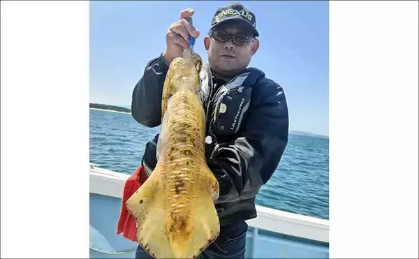 「「ドリームサイズがキタッ！」28kgヒラマサ堂々浮上【沖のルアー釣果速報4選・福岡】」の画像