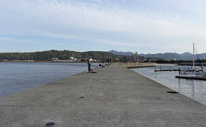 淡路島・堤防釣りレポート　夕マヅメのウキサビキ釣りでアジ15匹手中！