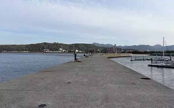 「淡路島・堤防釣りレポート　夕マヅメのウキサビキ釣りでアジ15匹手中！」の画像