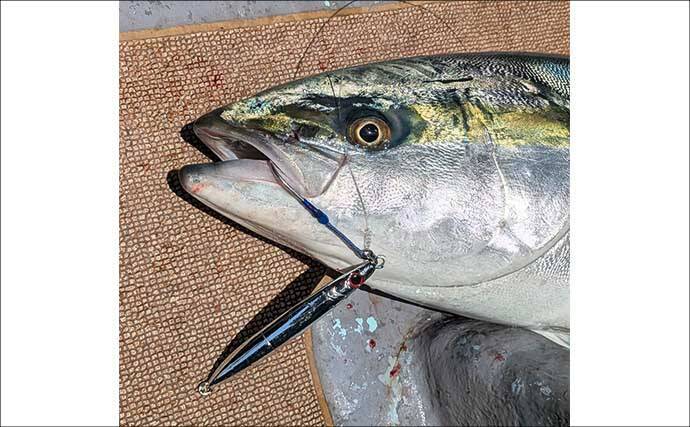 オフショアジギング釣果レポート：8kgブリに80cm超え大ダイ浮上！【あみや渡船・福井】
