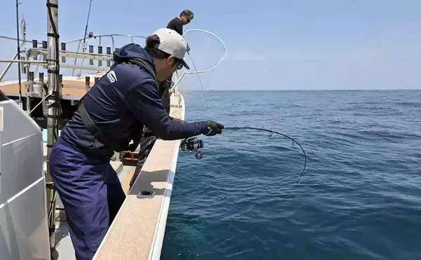 「オフショアジギング釣果レポート：8kgブリに80cm超え大ダイ浮上！【あみや渡船・福井】」の画像