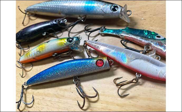 元釣具屋店員が【プレゼントされて本当に嬉しかった釣りアイテム3選 