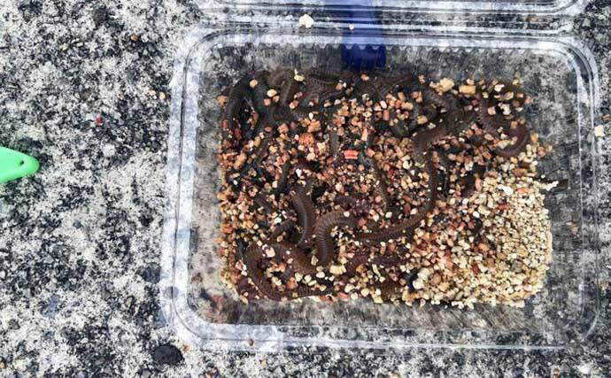 ファミリー向け釣り場でハゼが連発！　秋深まれば大型狙いのチャンス