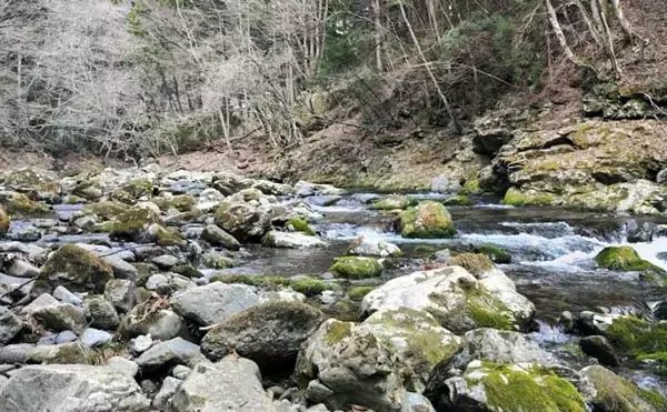 「「エサの活きの良さが釣果に直結！」採集した【川虫の管理方法】を徹底解説」の画像