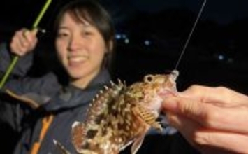 春の海釣り公園でカサゴが爆釣！【横須賀】キワは小型中心も沖目で良型