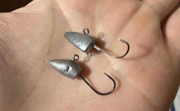 春の海釣り公園でカサゴが爆釣！【横須賀】キワは小型中心も沖目で良型