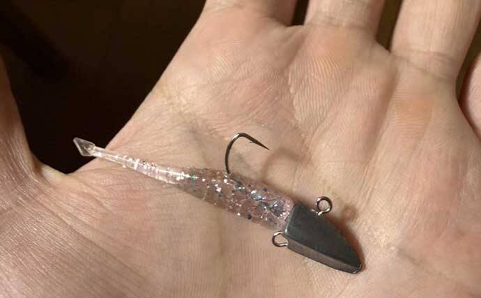 春の海釣り公園でカサゴが爆釣！【横須賀】キワは小型中心も沖目で良型