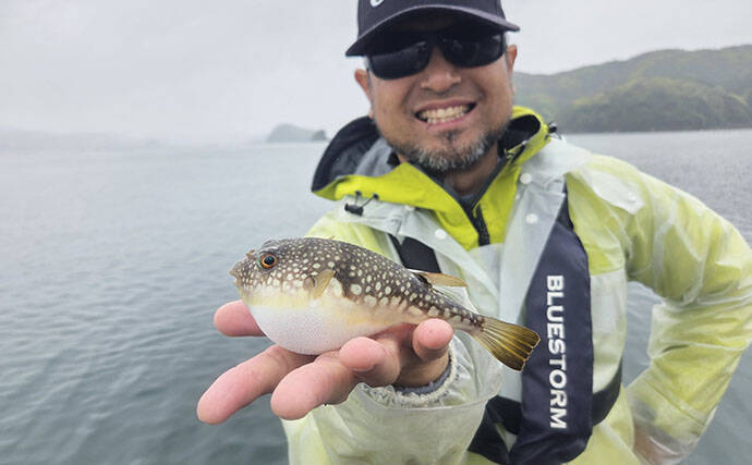 快適に釣りをしたいならイカダに決まり！ サビキで良型アジが連発【三重】
