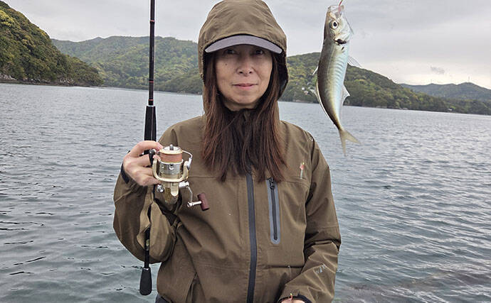 快適に釣りをしたいならイカダに決まり！ サビキで良型アジが連発【三重】