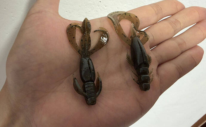 シーズン序盤のチニングゲームで40cm超え頭にチヌ2尾【三浦半島】ストレートフックが的中
