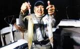 「夜焚きイカ釣りでパラソル交え37尾　潮緩んだタイミングに大型連発」の画像1