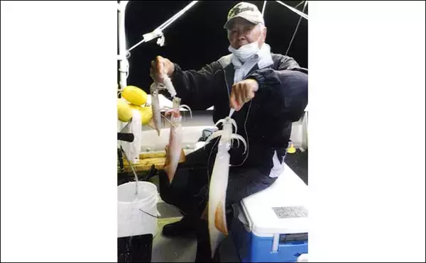 「夜焚きイカ釣りでパラソル交え37尾　潮緩んだタイミングに大型連発」の画像