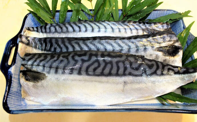 日本で食べられるサバはノルウェー産　国産サバはアフリカへ輸出の不思議