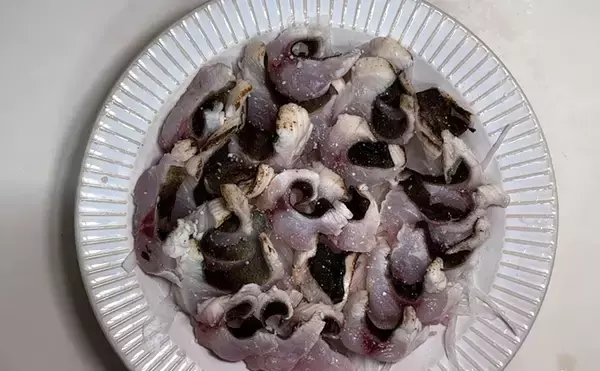 「東京湾奥に毒魚「バリ（アイゴ）」が侵攻中！ 臭い皮を美味しく食べる調理法とは？」の画像
