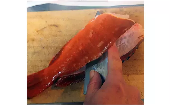 「釣った魚で作る「旨みそのまま」レシピ：アカハタの薄塩　シンプルだけど絶品」の画像