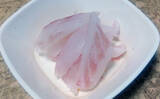 「釣った魚で作る「旨みそのまま」レシピ：アカハタの薄塩　シンプルだけど絶品」の画像5