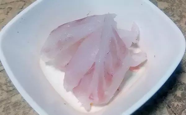 「釣った魚で作る「旨みそのまま」レシピ：アカハタの薄塩　シンプルだけど絶品」の画像