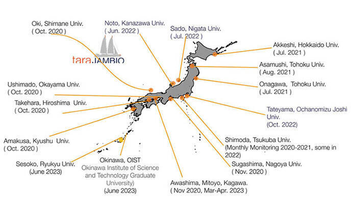 日本沿岸はマイクロプラスチックのホットスポット　海底への蓄積など汚染実態が明らかに