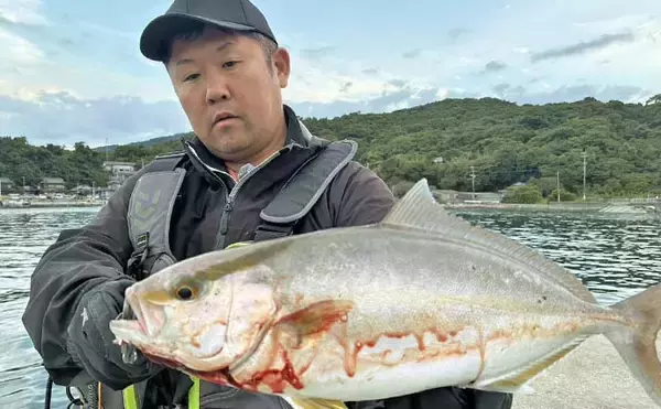 「「ブレードジグで青物がドンッ！」大道港のライトショアジギングでショゴ＆ヤズ登場【熊本】」の画像