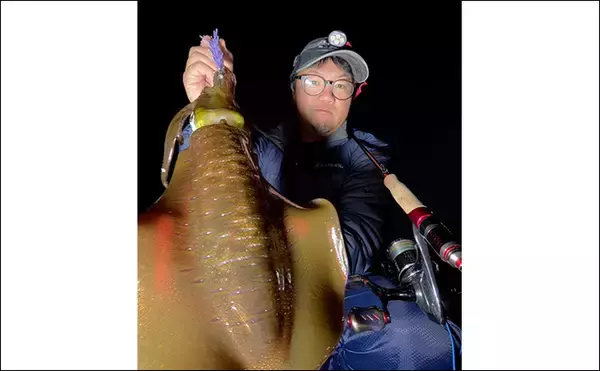 「【冬エギング攻略法】アオリイカの捕食タイミング・居場所を予測して釣果につなげよう」の画像