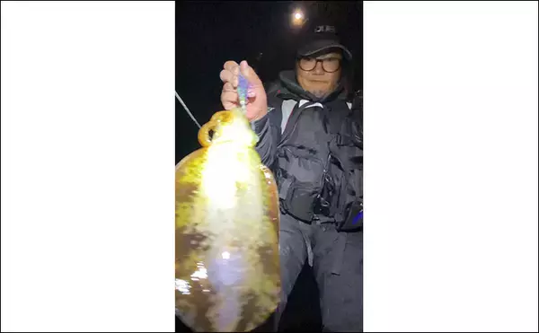 「【冬エギング攻略法】アオリイカの捕食タイミング・居場所を予測して釣果につなげよう」の画像
