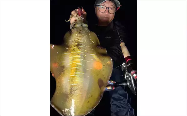 「【冬エギング攻略法】アオリイカの捕食タイミング・居場所を予測して釣果につなげよう」の画像