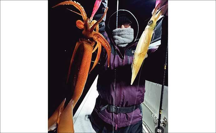 【沖のルアー釣果速報】スルメイカ・アカイカ・ヤリイカの3種好捕！イカメタル夜便が好調（三重）