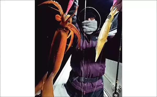 「【沖のルアー釣果速報】スルメイカ・アカイカ・ヤリイカの3種好捕！イカメタル夜便が好調（三重）」の画像