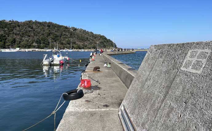 100均のワームでカマス7尾を手中！【富浦新港・千葉】ライトゲームで挑戦