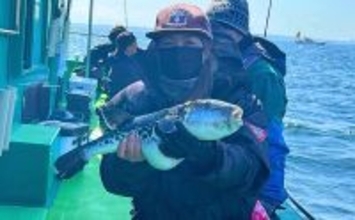 東京湾トラフグ釣りに初挑戦！ 同行者が見事本命キャッチ【吉野屋・浦安】