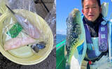 「東京湾トラフグ釣りに初挑戦！ 同行者が見事本命キャッチ【吉野屋・浦安】」の画像9