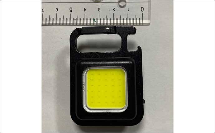夜釣りの魚の撮影に「LED投光器」が便利　安い・軽い・小さい・明るい