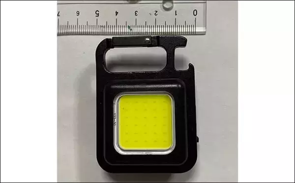 「夜釣りの魚の撮影に「LED投光器」が便利　安い・軽い・小さい・明るい」の画像