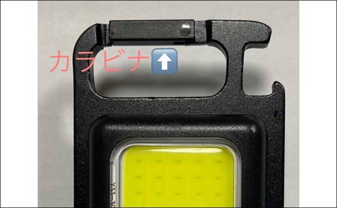 夜釣りの魚の撮影に「LED投光器」が便利　安い・軽い・小さい・明るい