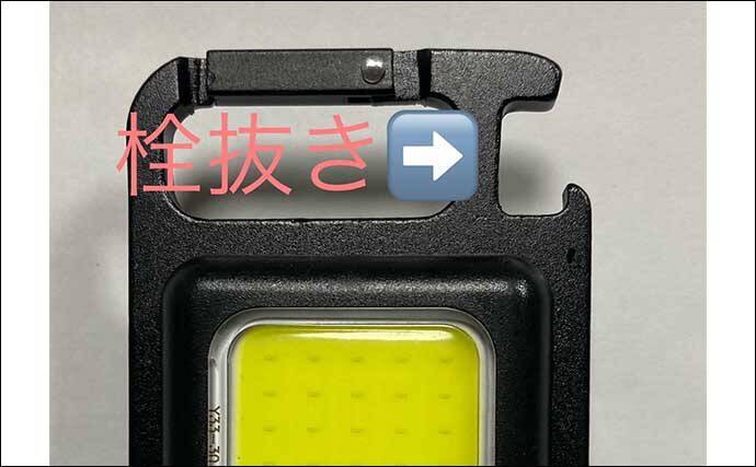 夜釣りの魚の撮影に「LED投光器」が便利　安い・軽い・小さい・明るい