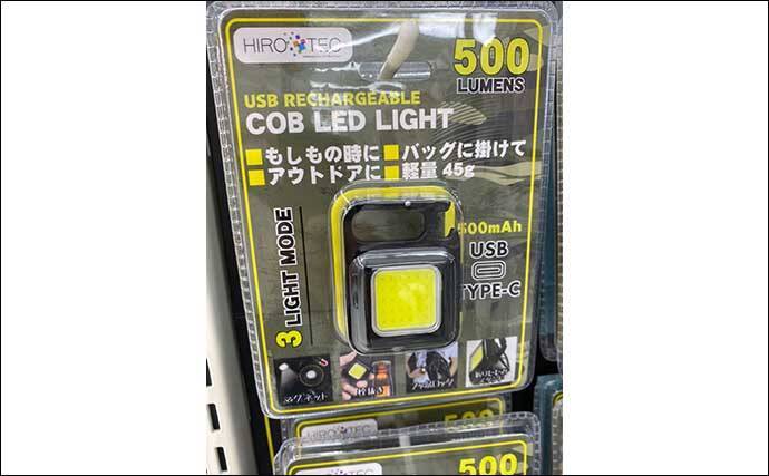夜釣りの魚の撮影に「LED投光器」が便利　安い・軽い・小さい・明るい
