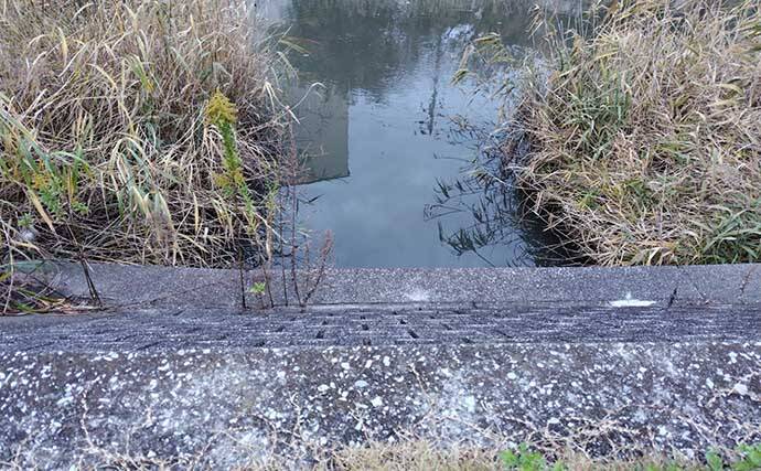 シーバスゲームは『電車結び』でOK　70cm級とファイトした結果は？