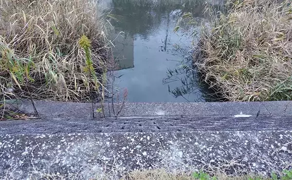 「シーバスゲームは『電車結び』でOK　70cm級とファイトした結果は？」の画像