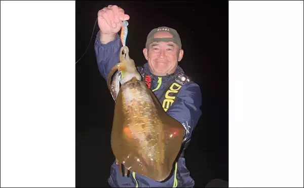 「伊豆東海岸エギングで良型アオリイカ4杯をキャッチ【静岡】夕マヅメの時合いを攻略」の画像