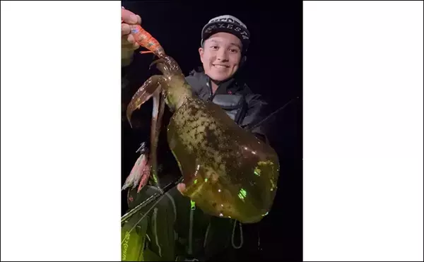 「伊豆東海岸エギングで良型アオリイカ4杯をキャッチ【静岡】夕マヅメの時合いを攻略」の画像