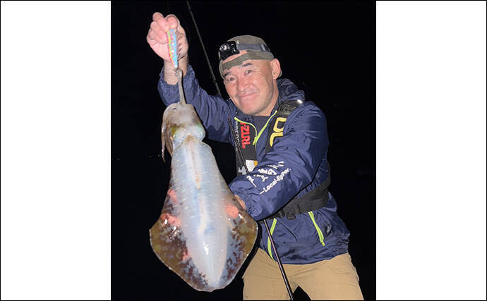 伊豆東海岸エギングで良型アオリイカ4杯をキャッチ【静岡】夕マヅメの時合いを攻略