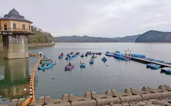 「「951匹も1,000匹届かず……」入鹿池のボートワカサギ釣りで終始入れ食いの爆釣展開【愛知】」の画像