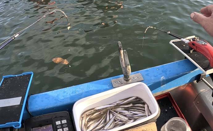 「951匹も1,000匹届かず……」入鹿池のボートワカサギ釣りで終始入れ食いの爆釣展開【愛知】