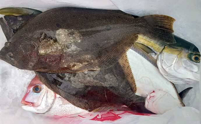 20kgオーバーの「イシナギ」堂々浮上！【船釣り釣果速報5選・三重】
