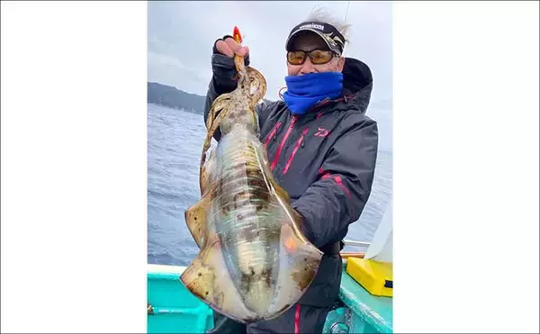 「【船釣り釣果速報】イワシ泳がせて85cmモンスターヒラメ浮上！（三重）」の画像