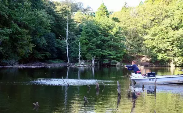 「吉田康雄のザ・チャレンジへらぶな【完デコのリベンジin片倉ダム#5】」の画像