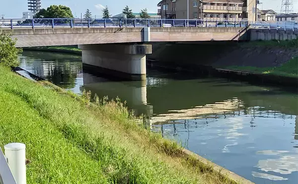 「「条件が良すぎて苦戦？」村田川シーバス釣行で50cm級本命をキャッチ【千葉】」の画像