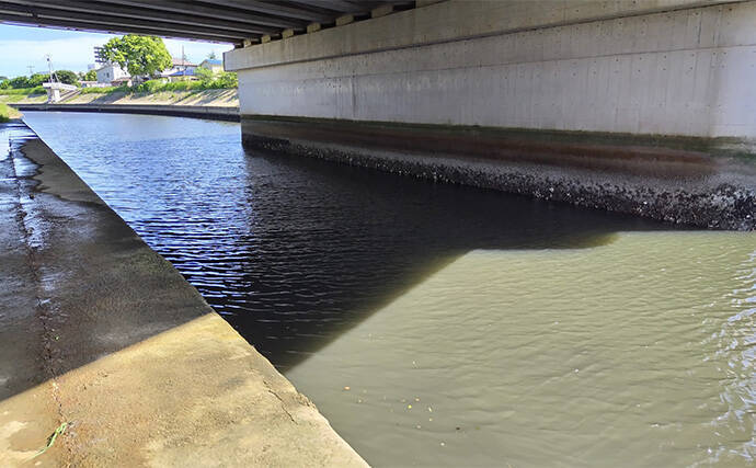 「条件が良すぎて苦戦？」村田川シーバス釣行で50cm級本命をキャッチ【千葉】