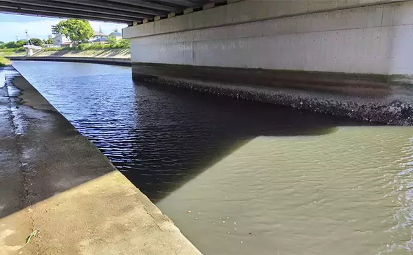 「「条件が良すぎて苦戦？」村田川シーバス釣行で50cm級本命をキャッチ【千葉】」の画像